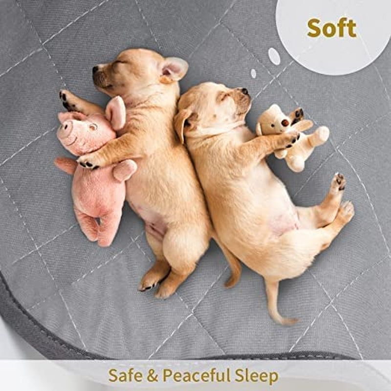 Extra Large Washable Puppy Pee Pad: Waterproof Training Mat for Various Use